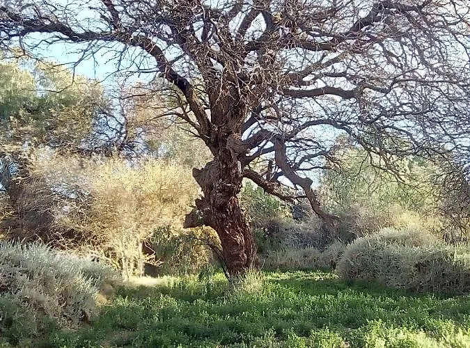 La Casa Blanca Hotel San Pedro de Atacama